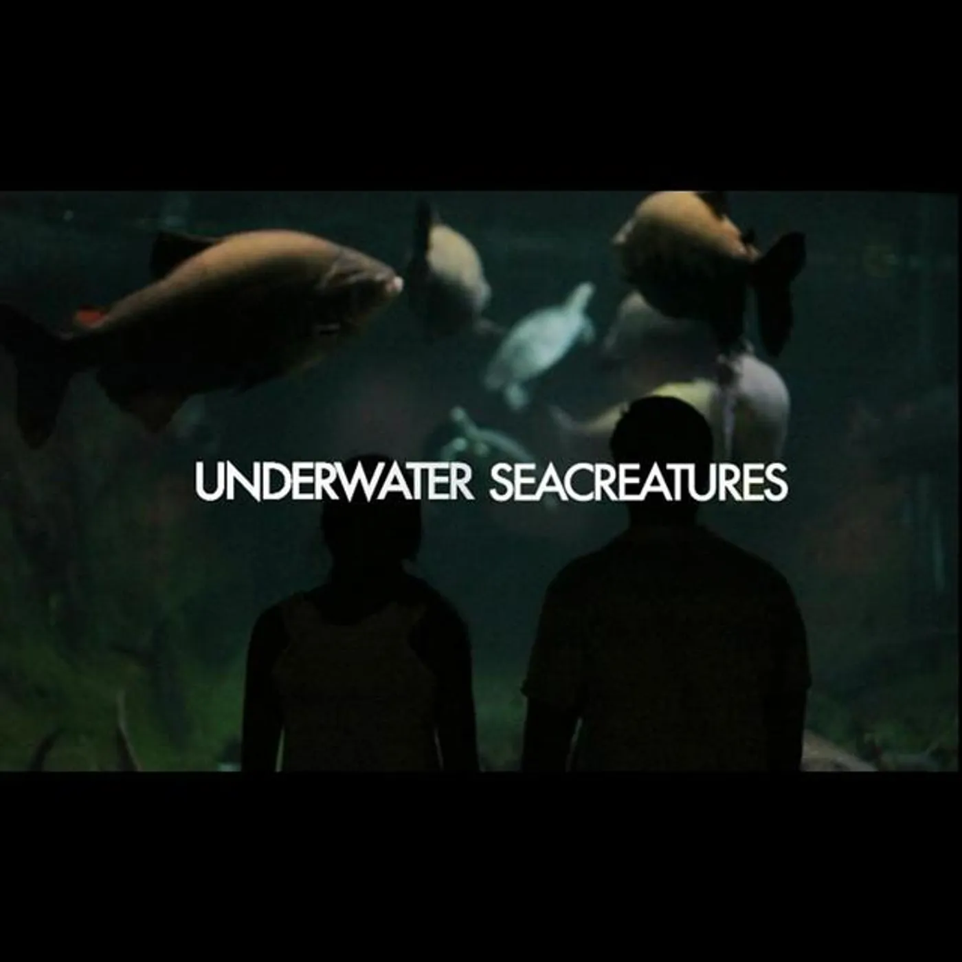 Underwater Seacreatures