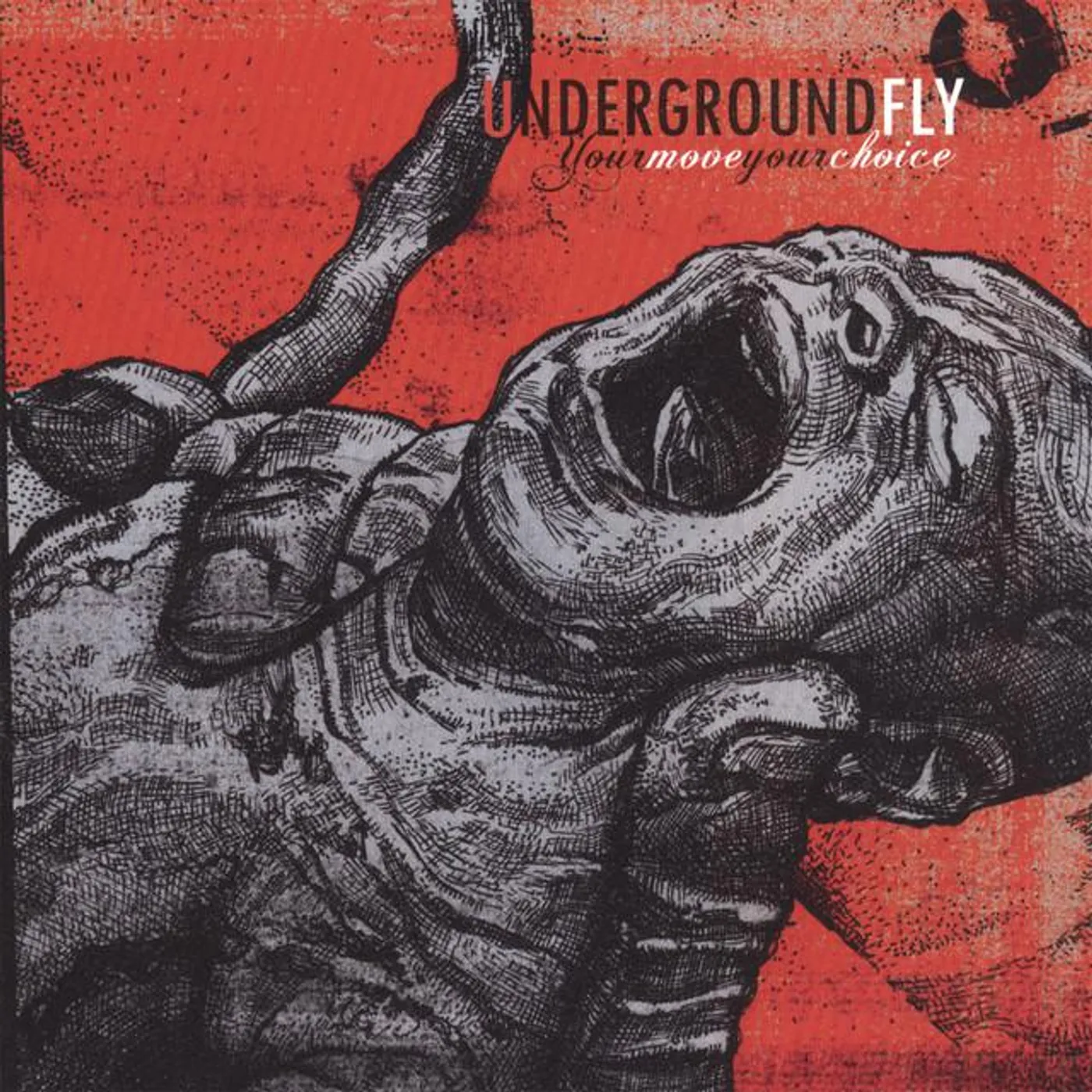 Underground Fly