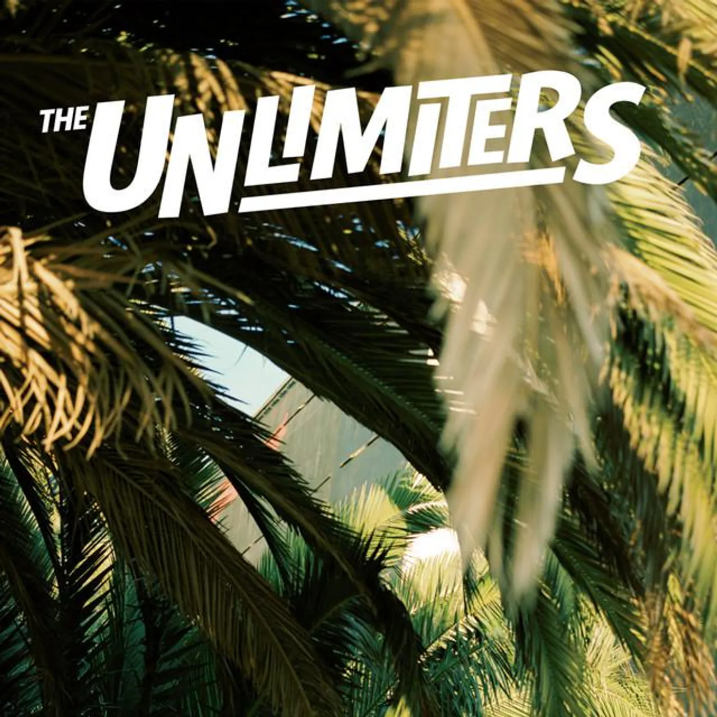 The Unlimiters Brand Page