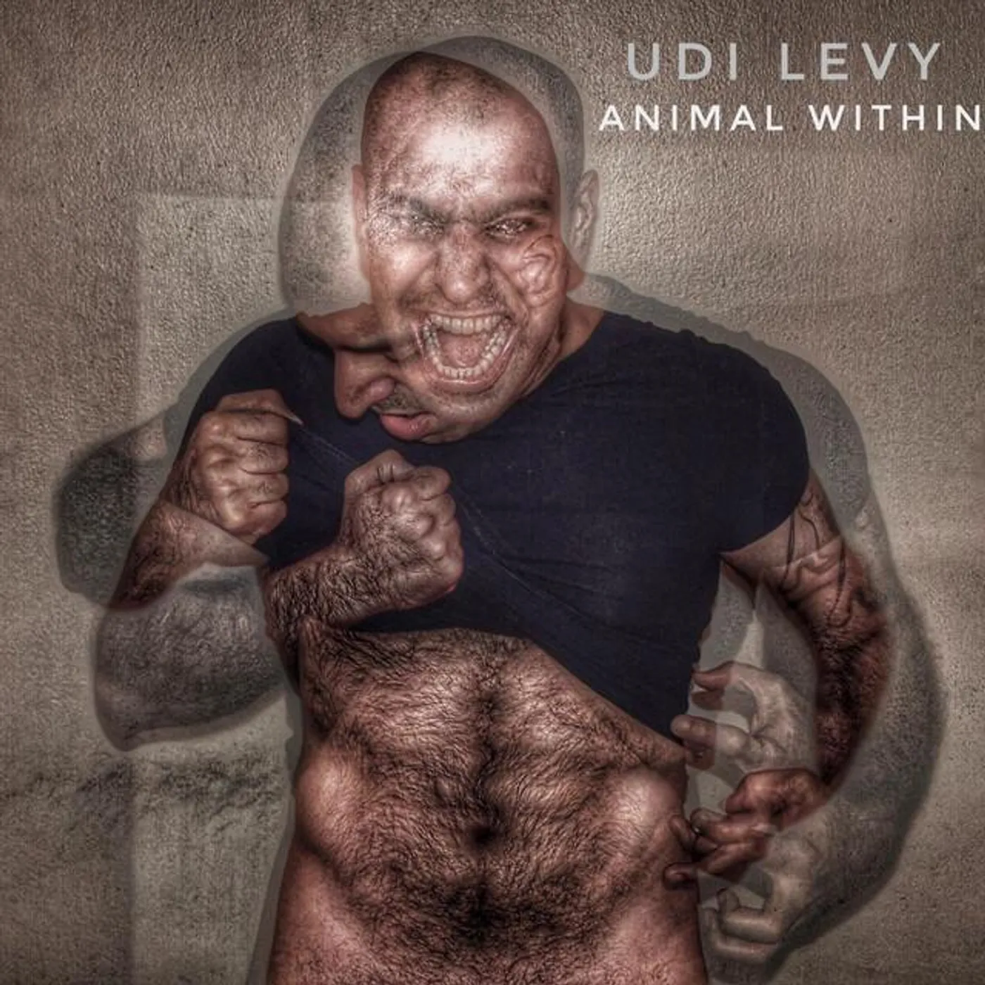 Udi Levy