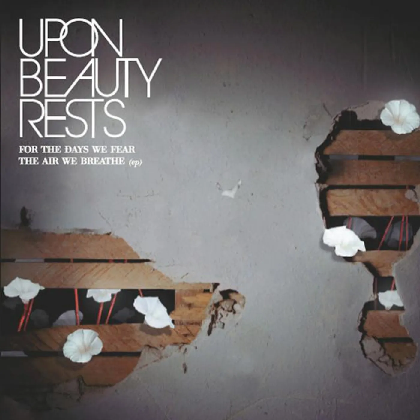 Upon Beauty Rests