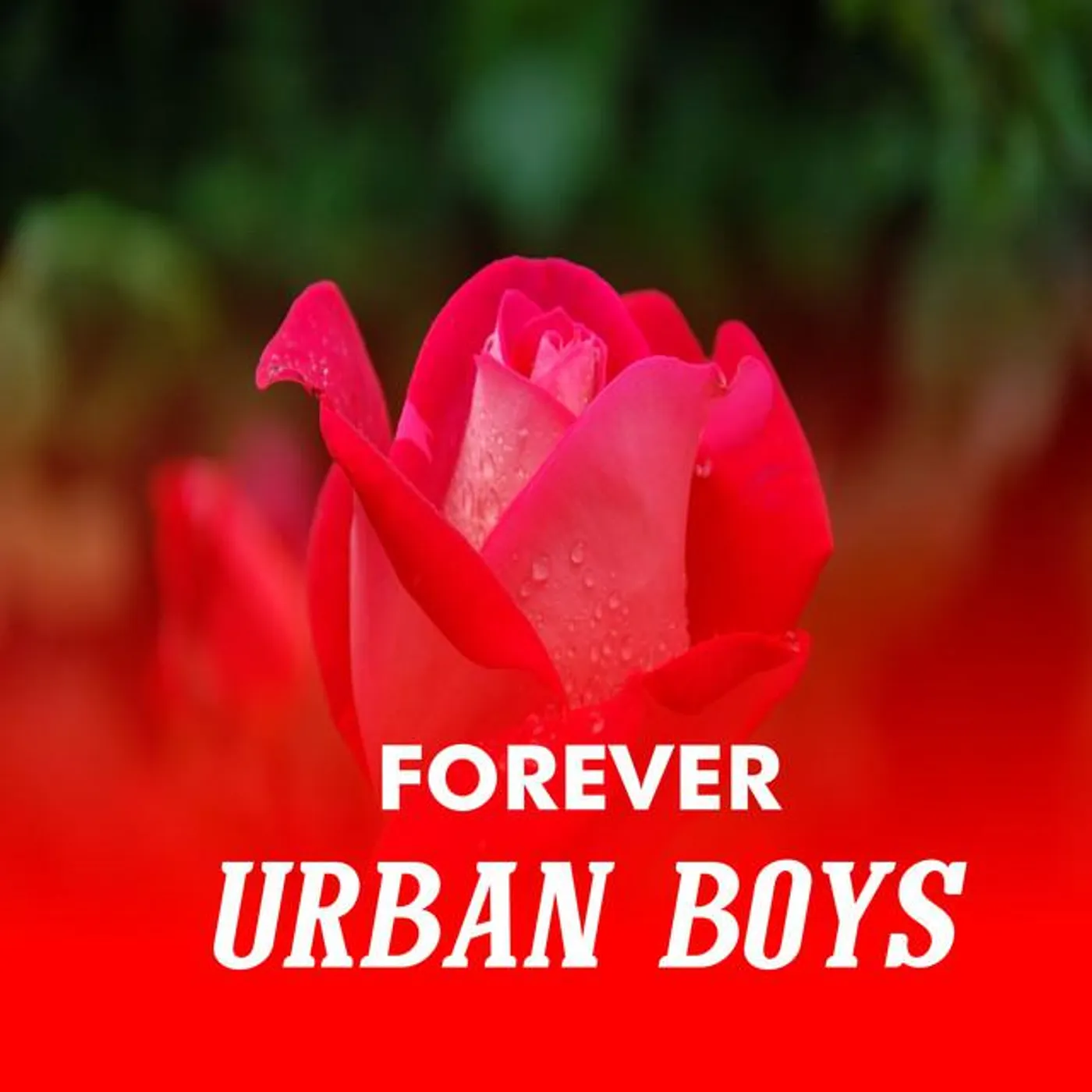 Urban Boyz