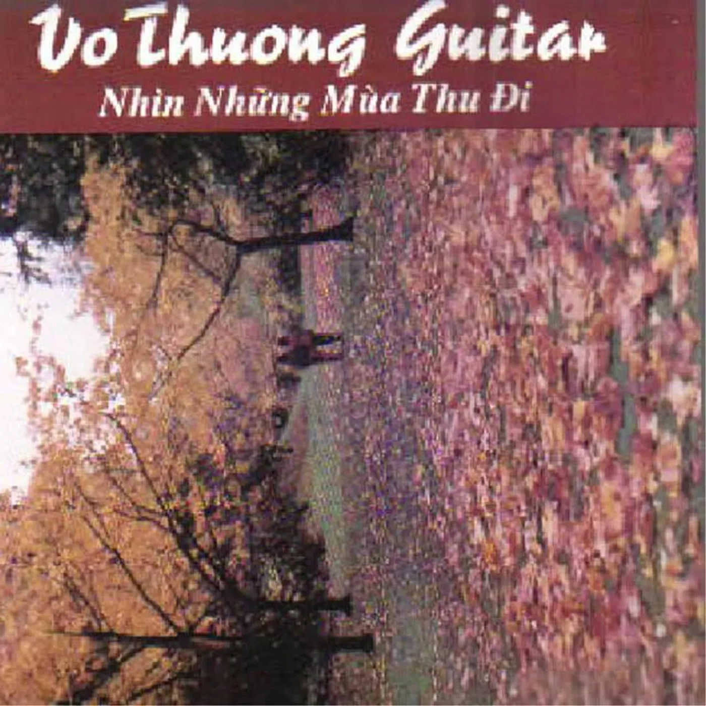 Vo Thuong