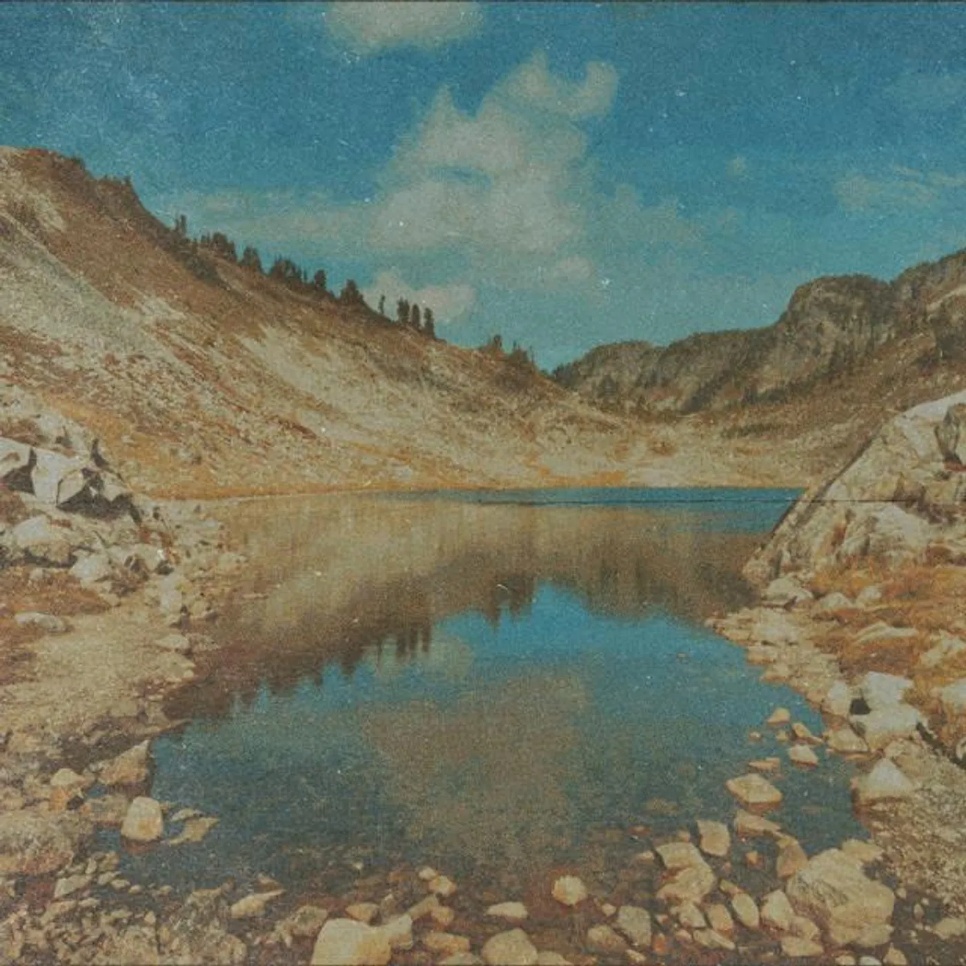 Vocal Few Brand Page