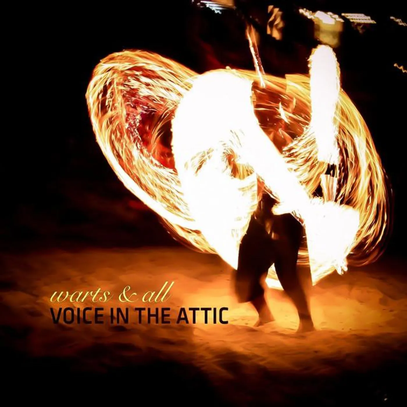 Voice In the Attic Brand Page