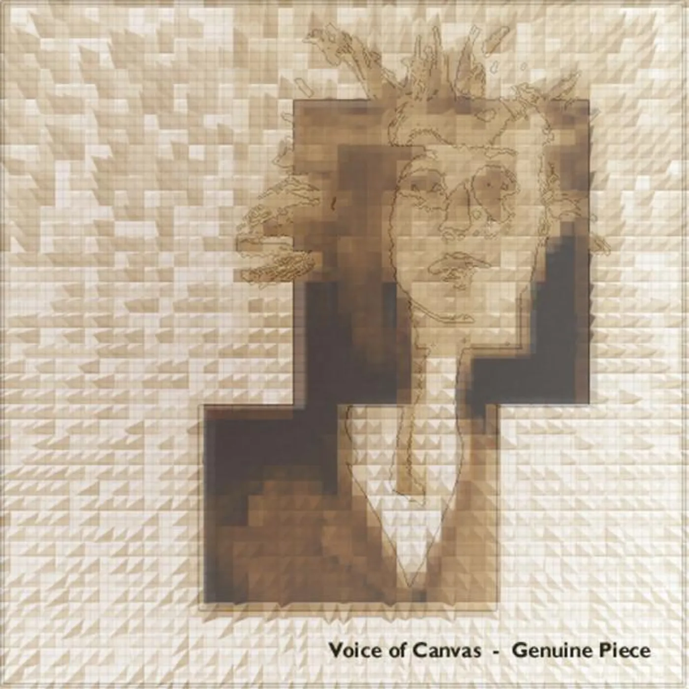 Voice Of Canvas Brand Page