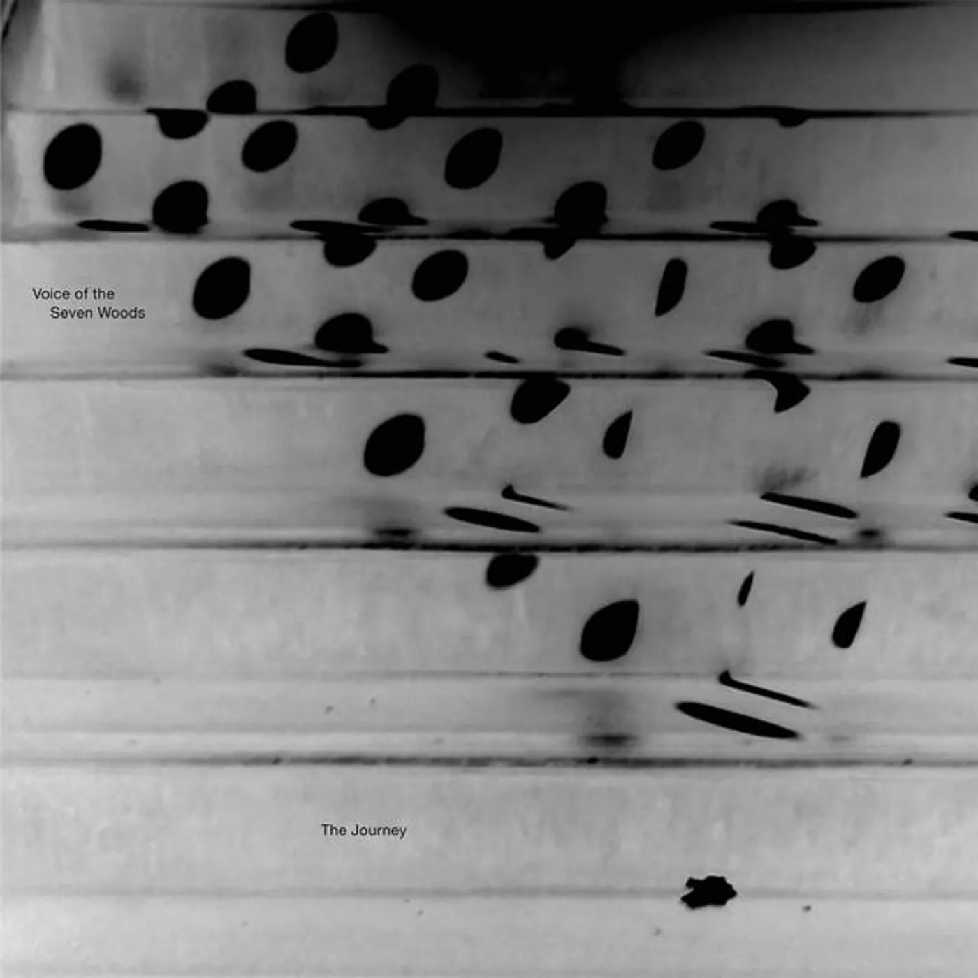 Voice Of The Seven Woods