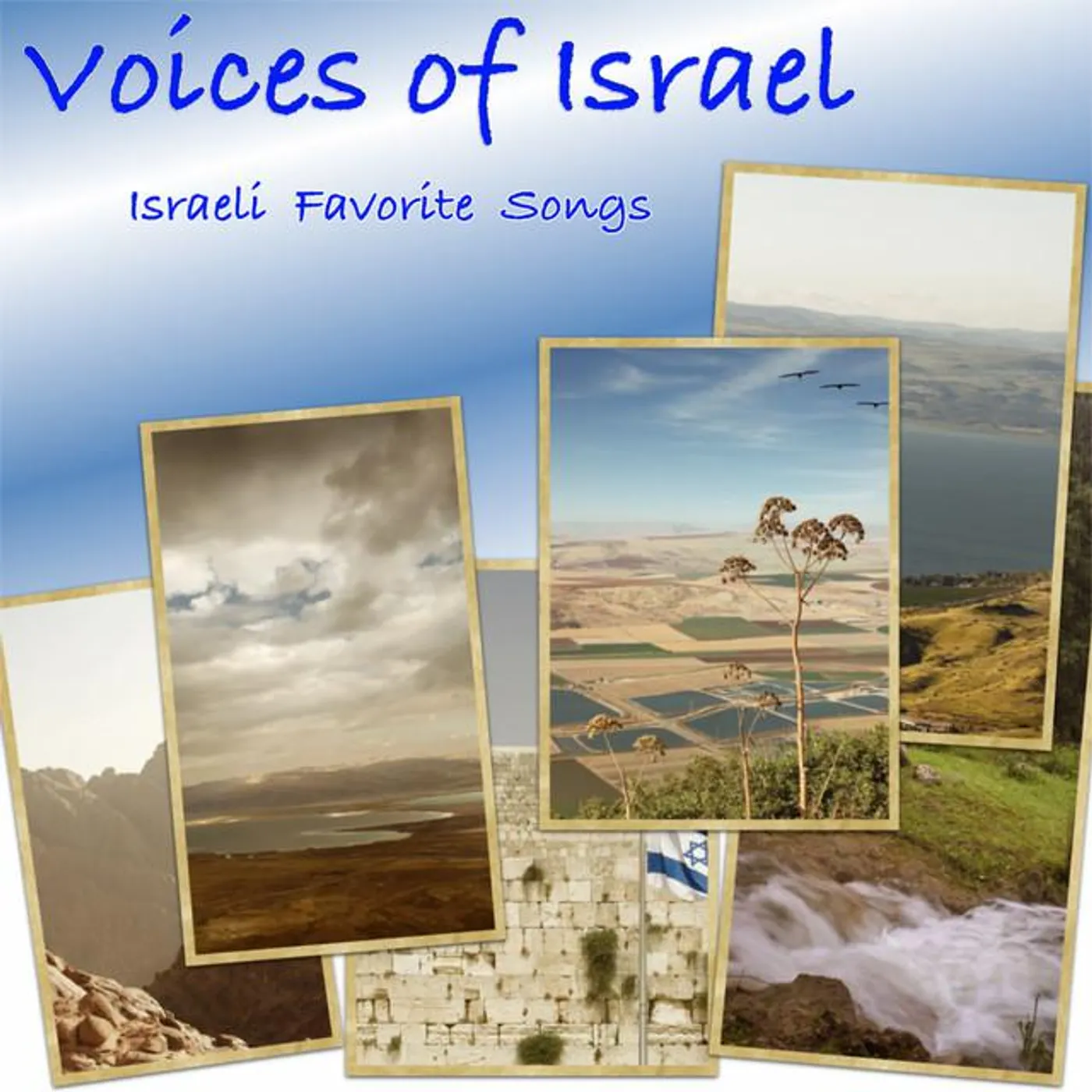 Voices of Israel Brand Page