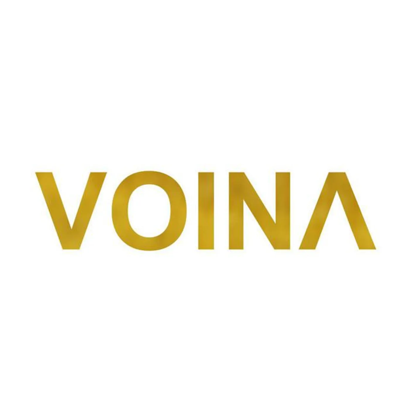 Voina Brand Page