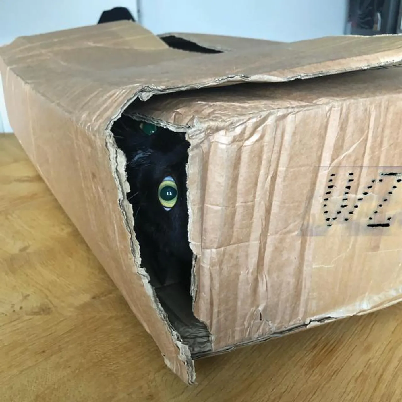 Valentina Magaletti Brand Page