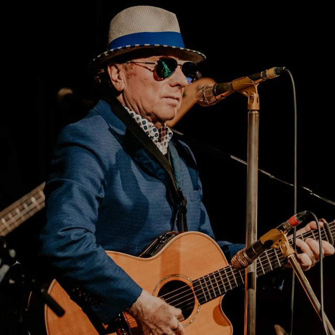 Van Morrison Brand Page