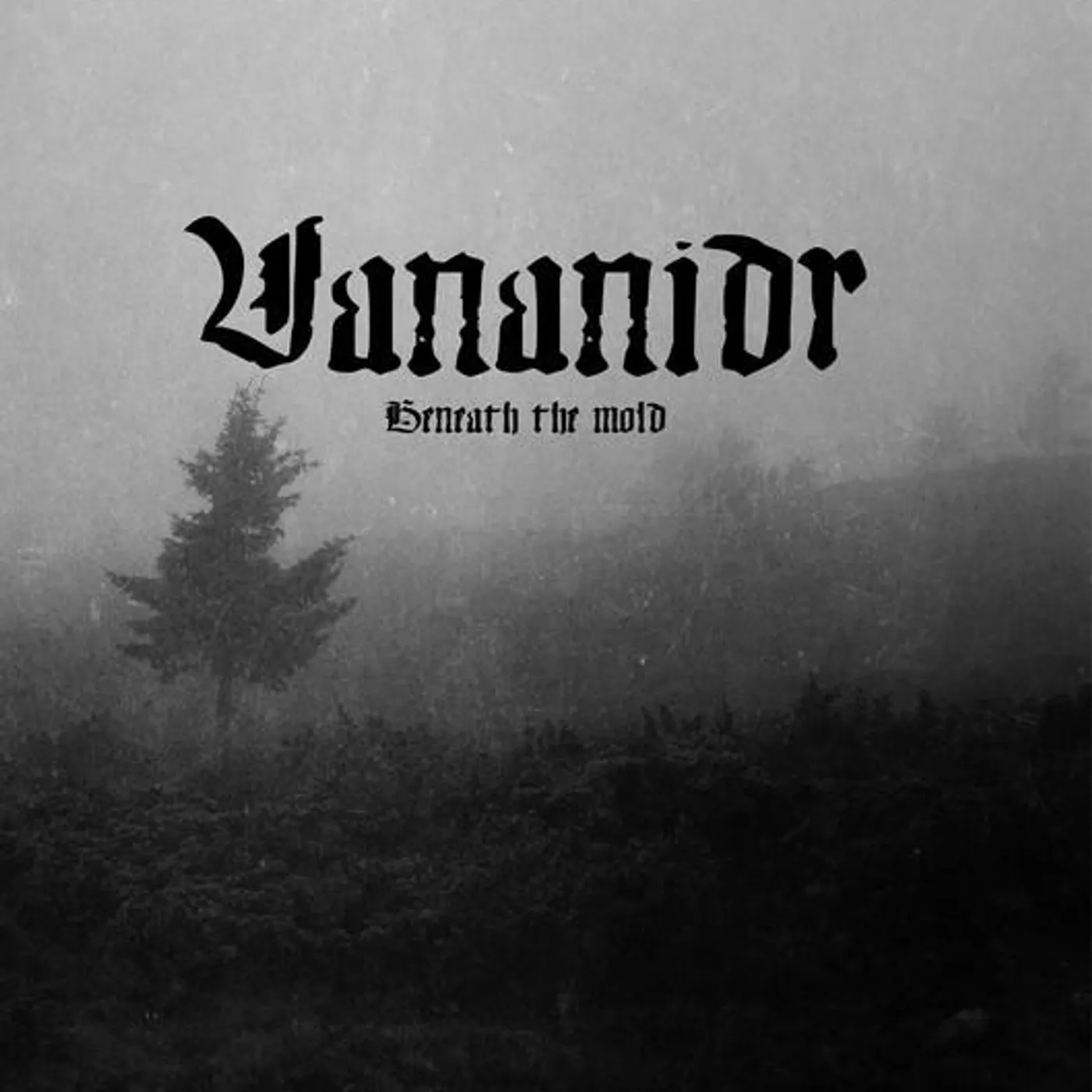 Vananidr Brand Page