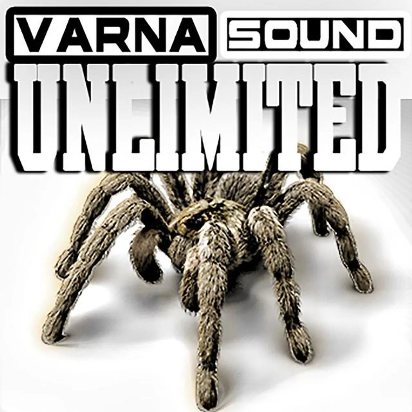 Varna Sound Brand Page
