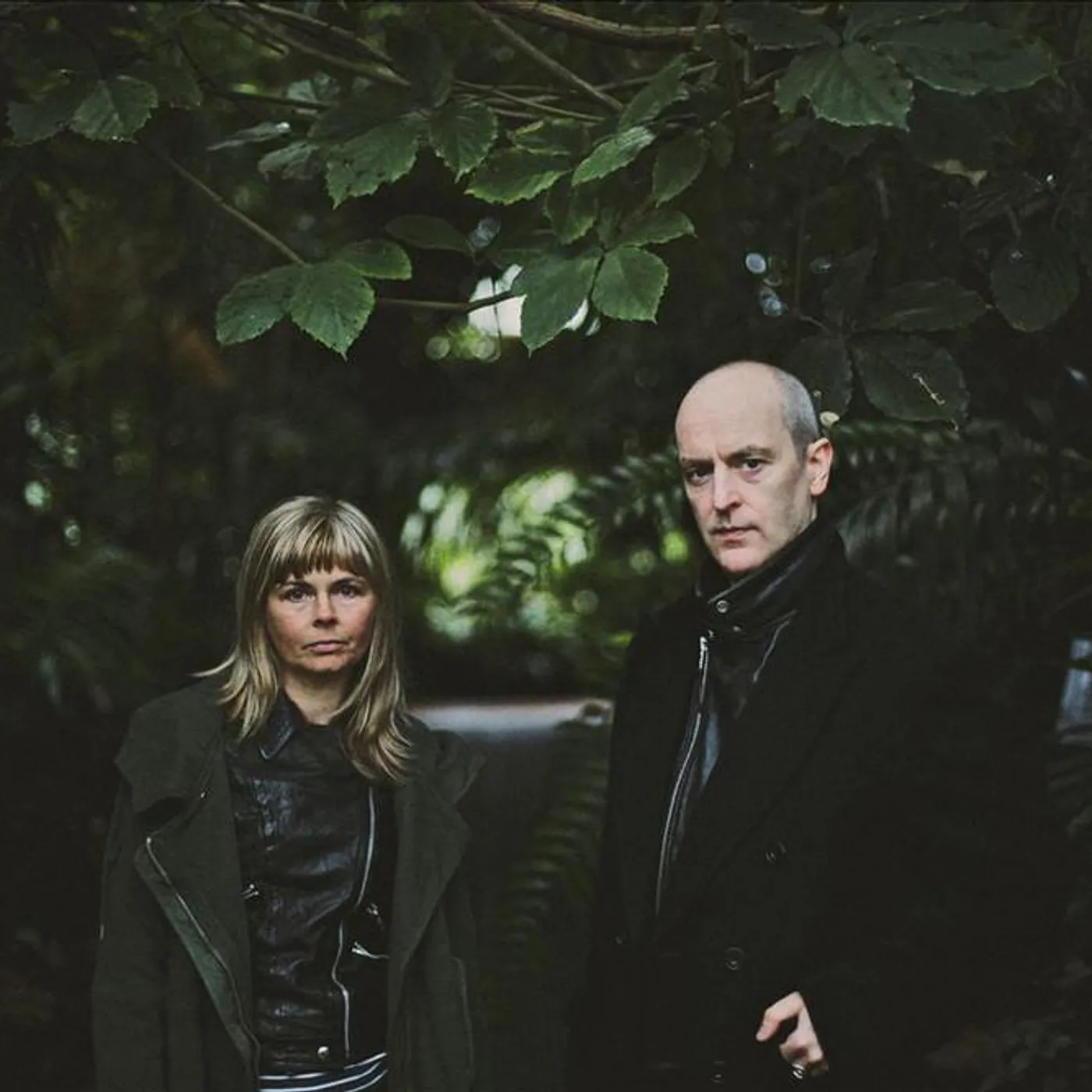 The Vaselines Brand Page