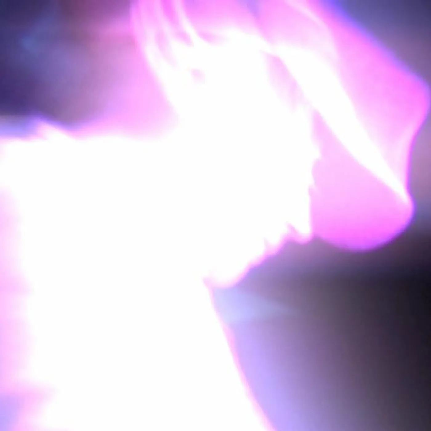 VHS Midnight Style Brand Page