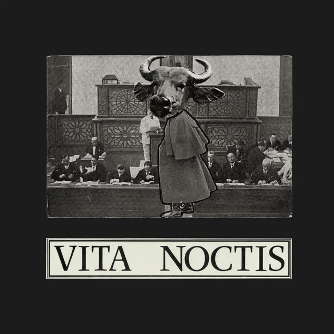 Vita Noctis Brand Page