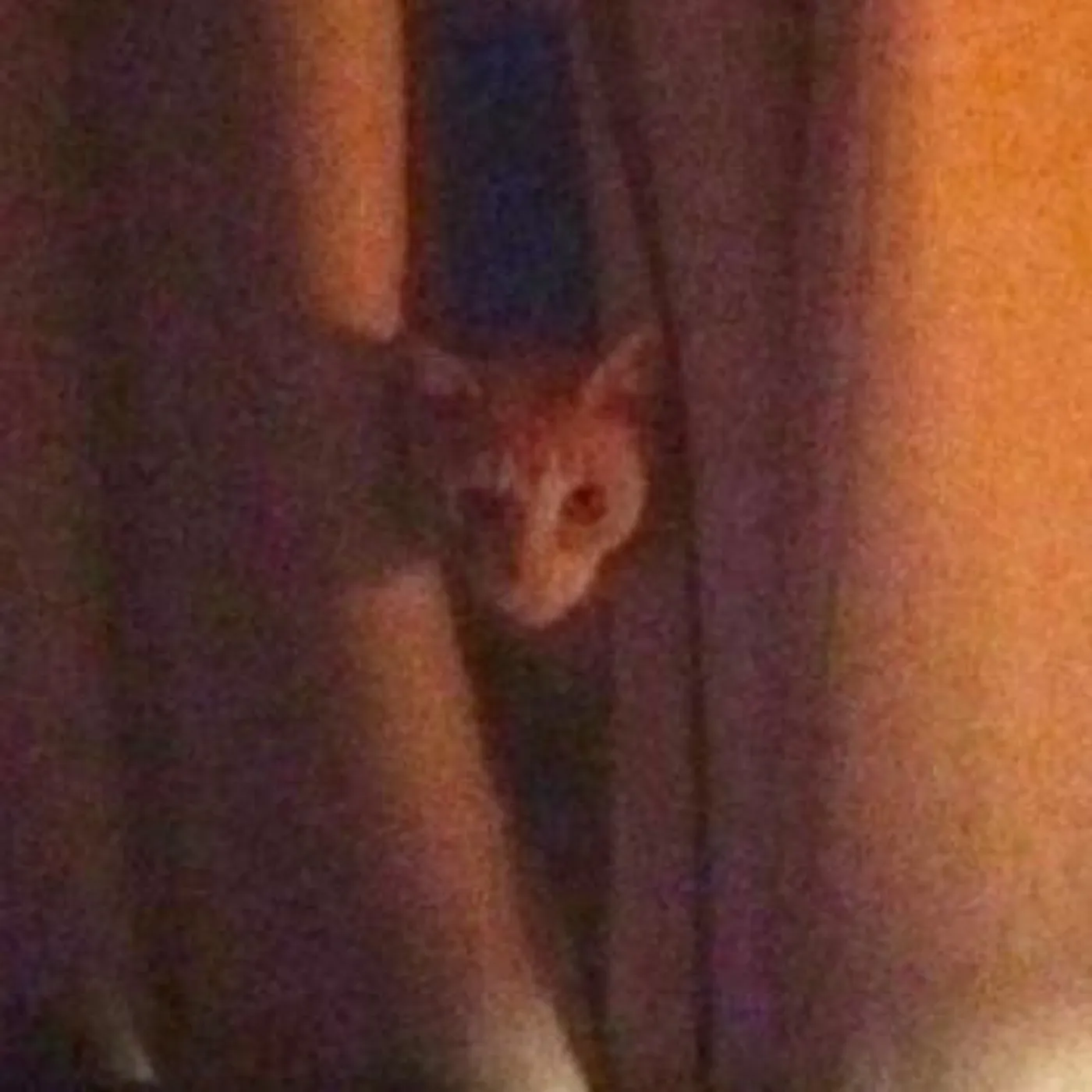 Vivi Milne Brand Page