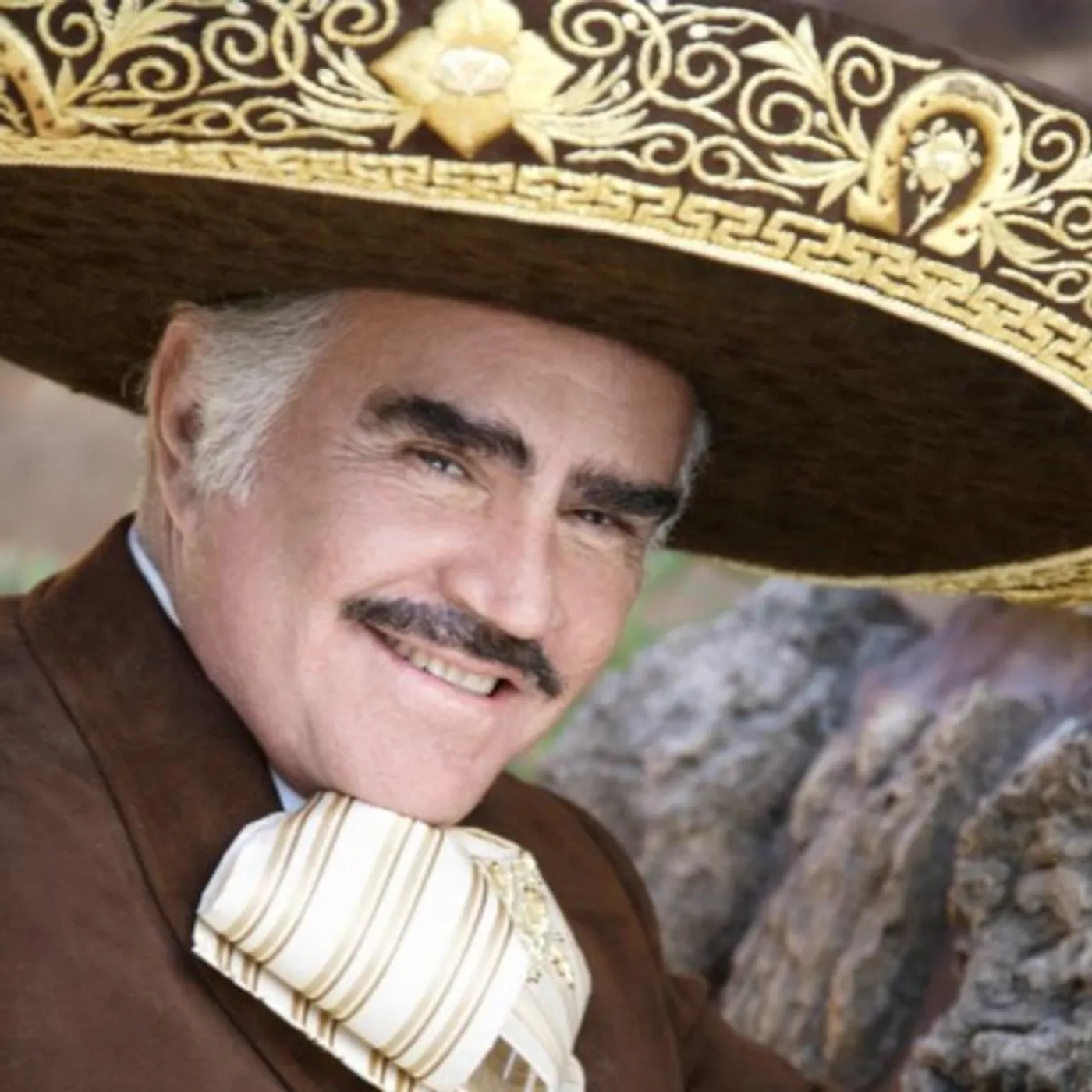 Vicente Fernández Brand Page