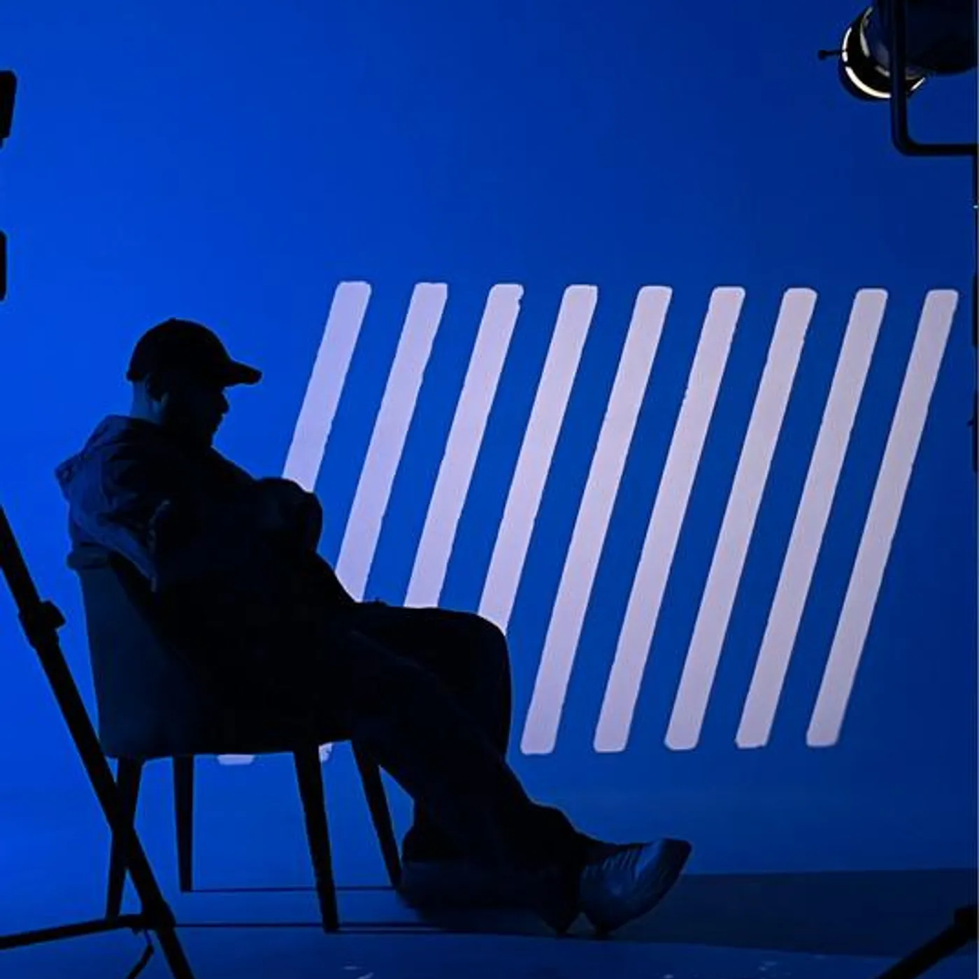 ViceArnold Brand Page