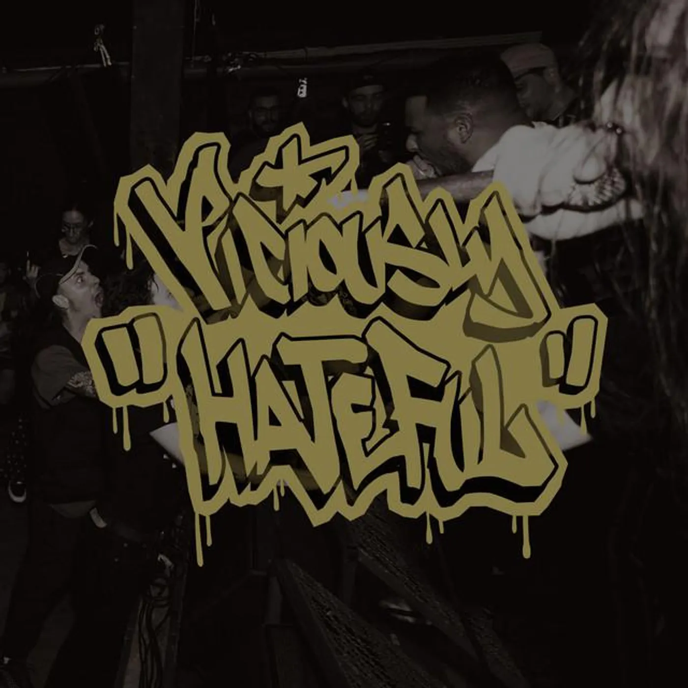 Viciously Hateful Brand Page