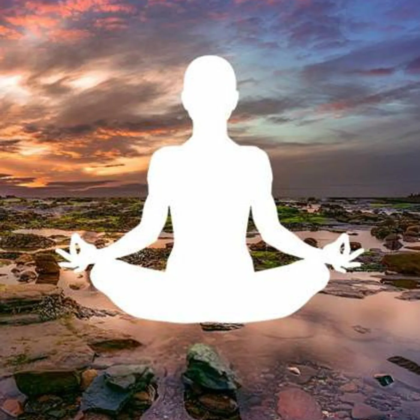 Vida Sana Brand Page