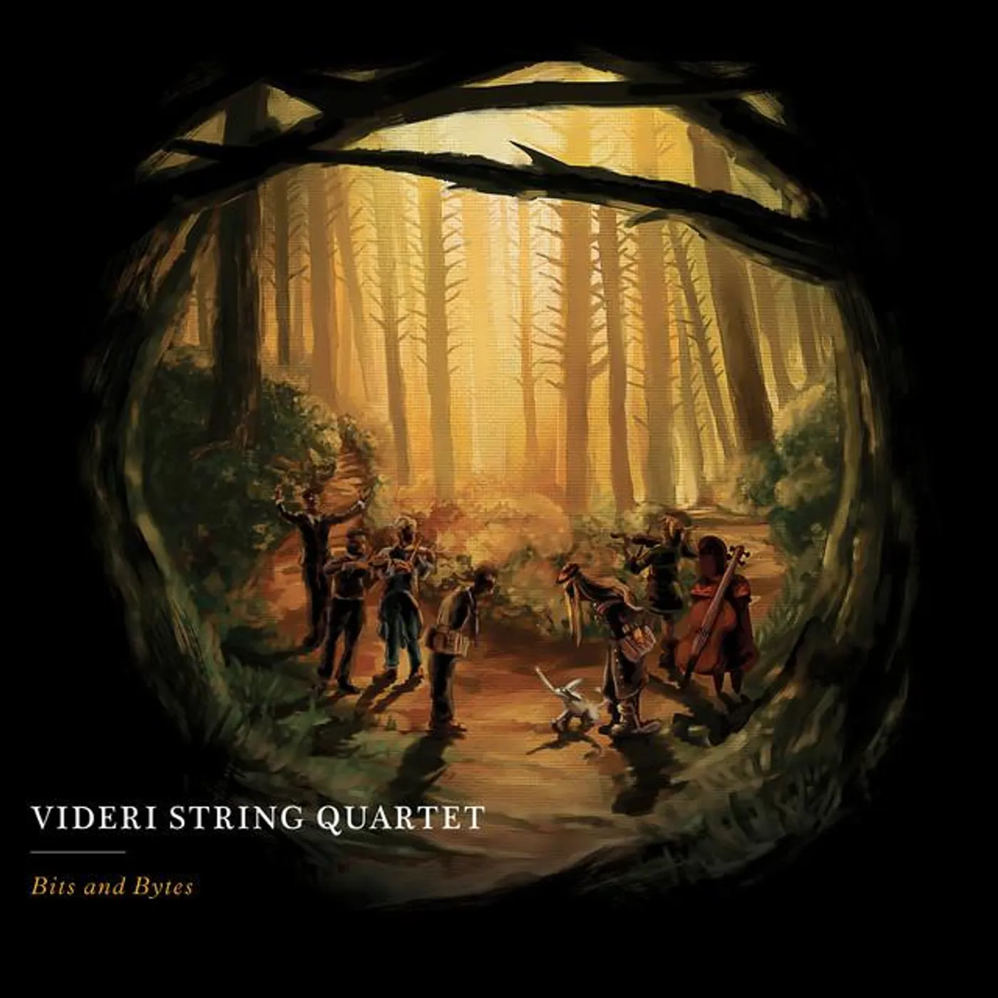 Videri String Quartet