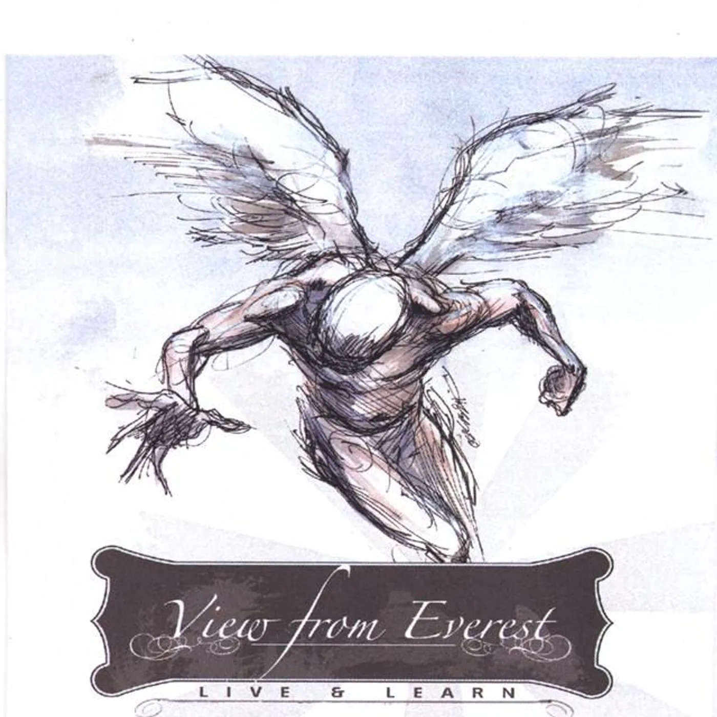 View From Everest Brand Page