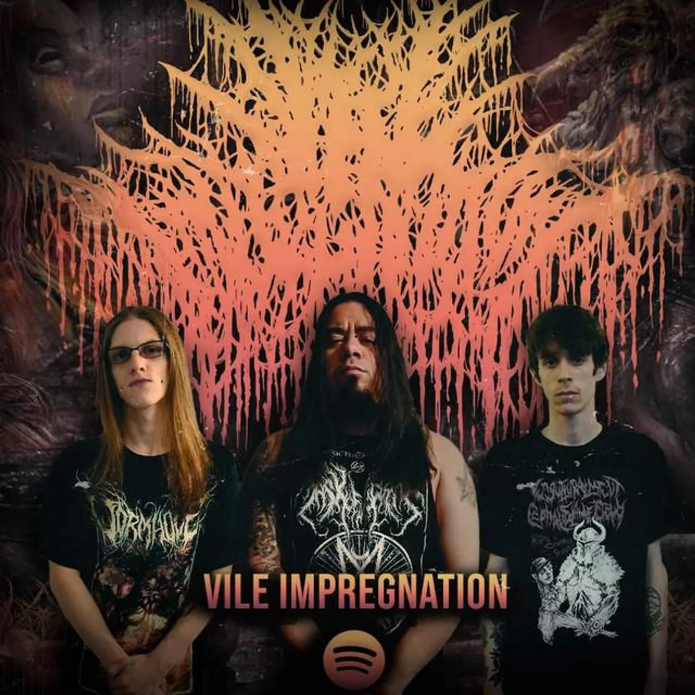 Vile Impregnation Brand Page