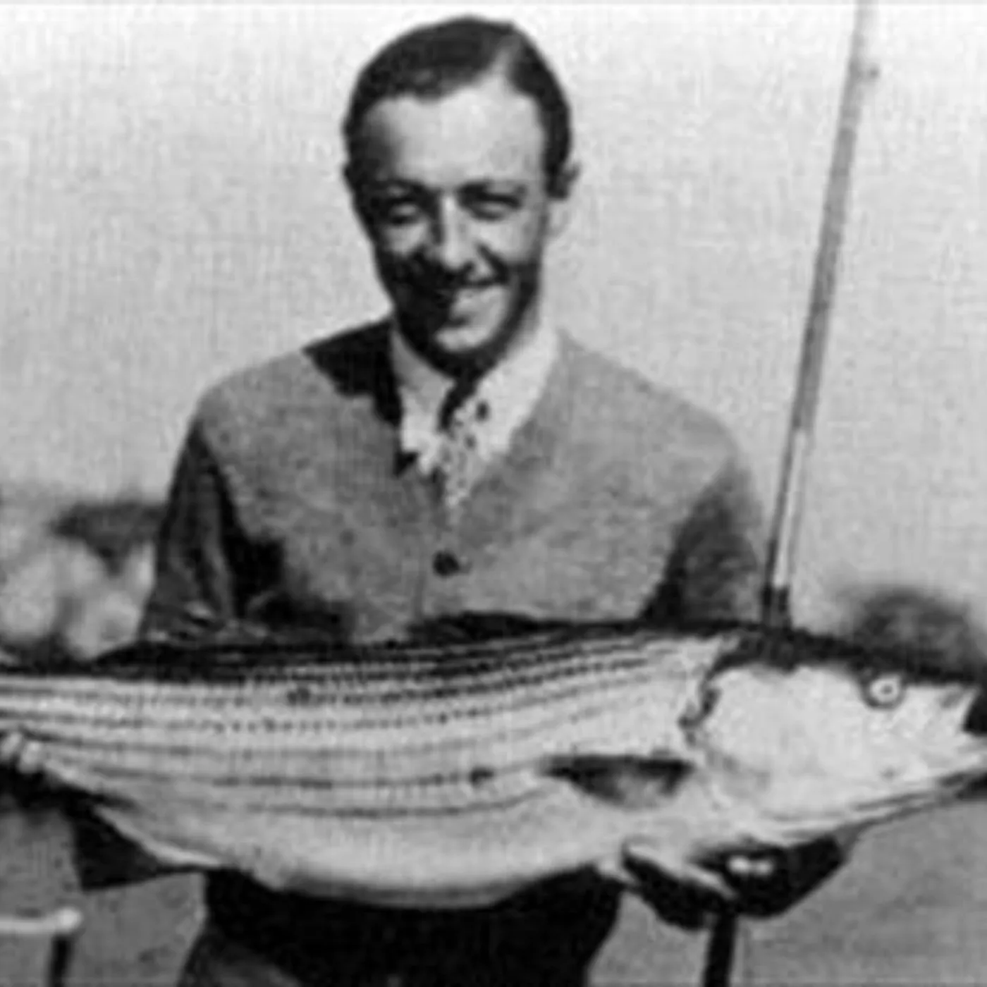 Vincent Youmans Brand Page