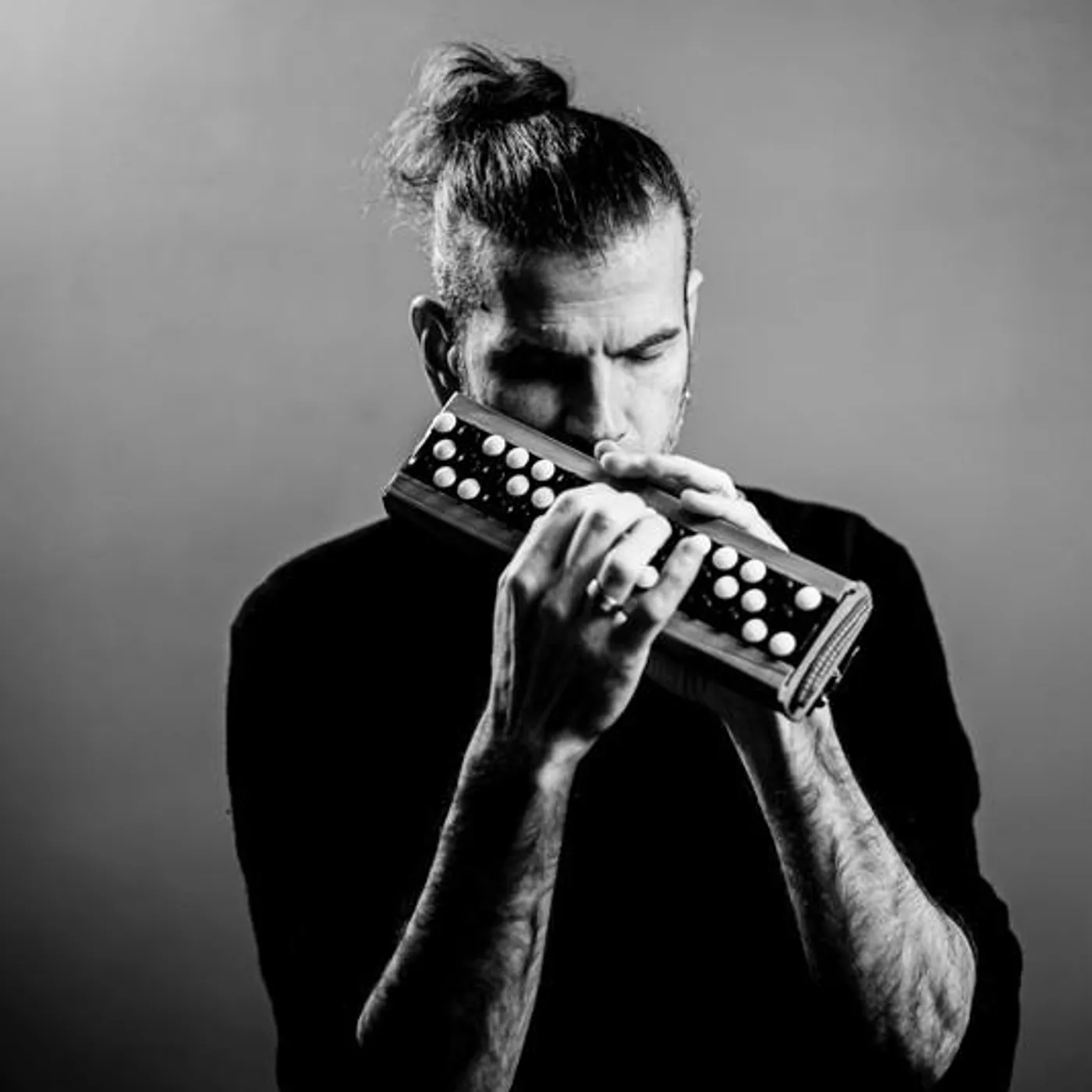 Vincent Peirani Brand Page