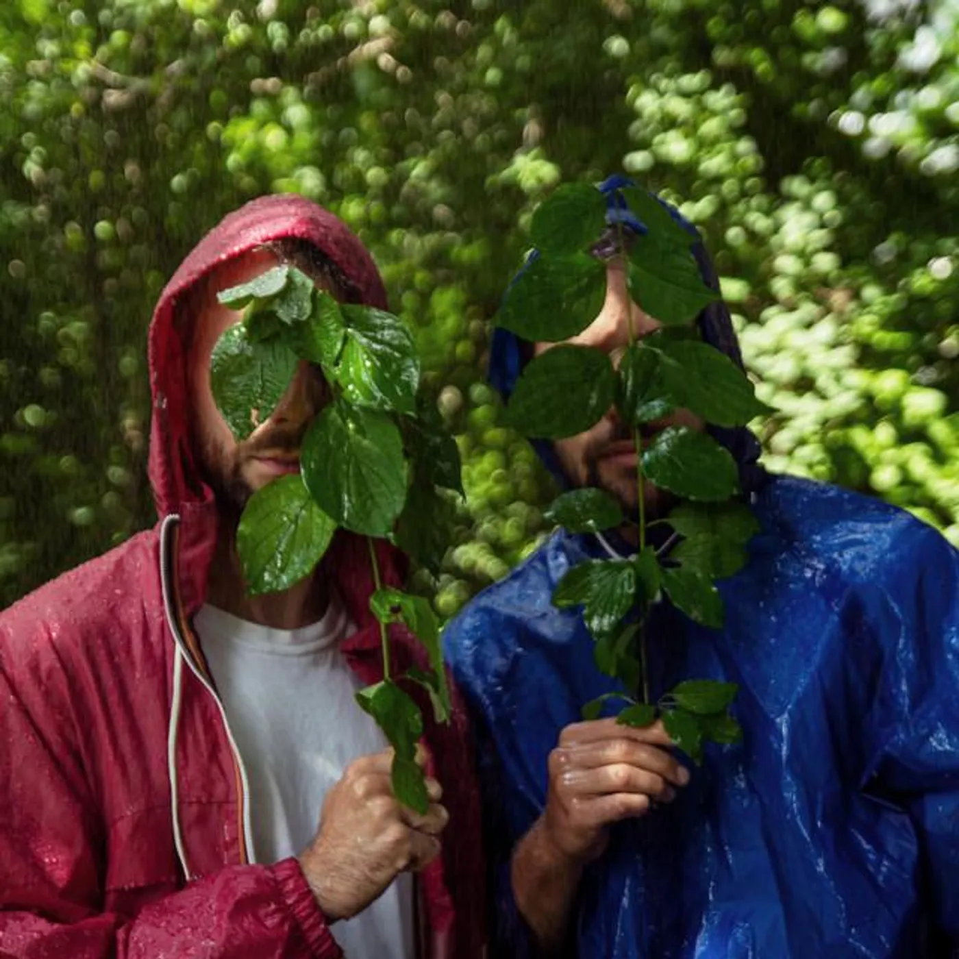 Vincent Rayn Brand Page