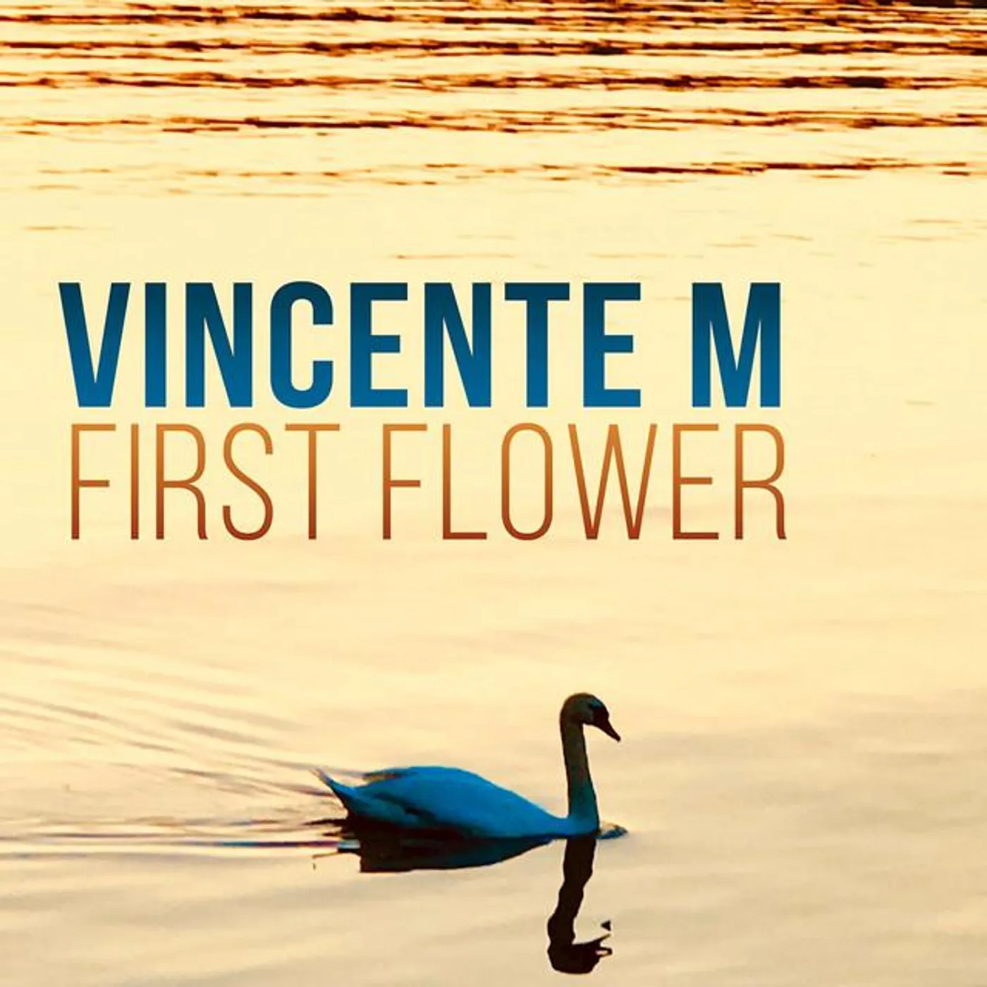 Vincente M Brand Page