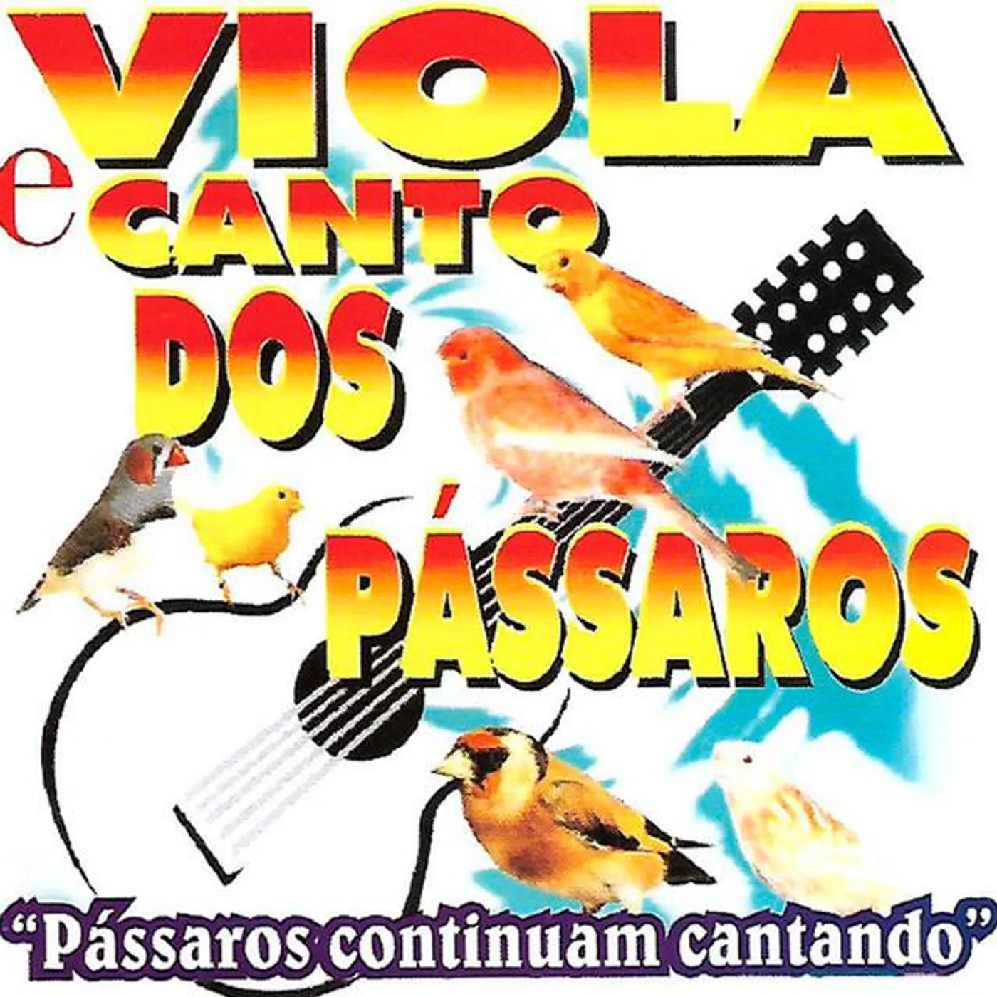 Viola e o Canto dos Pássaros Brand Page