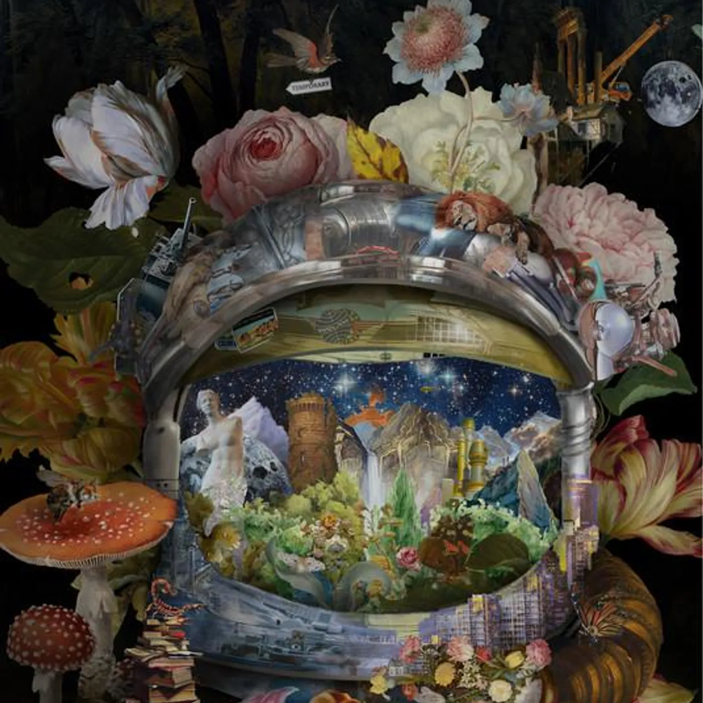 Violet Pilot Brand Page