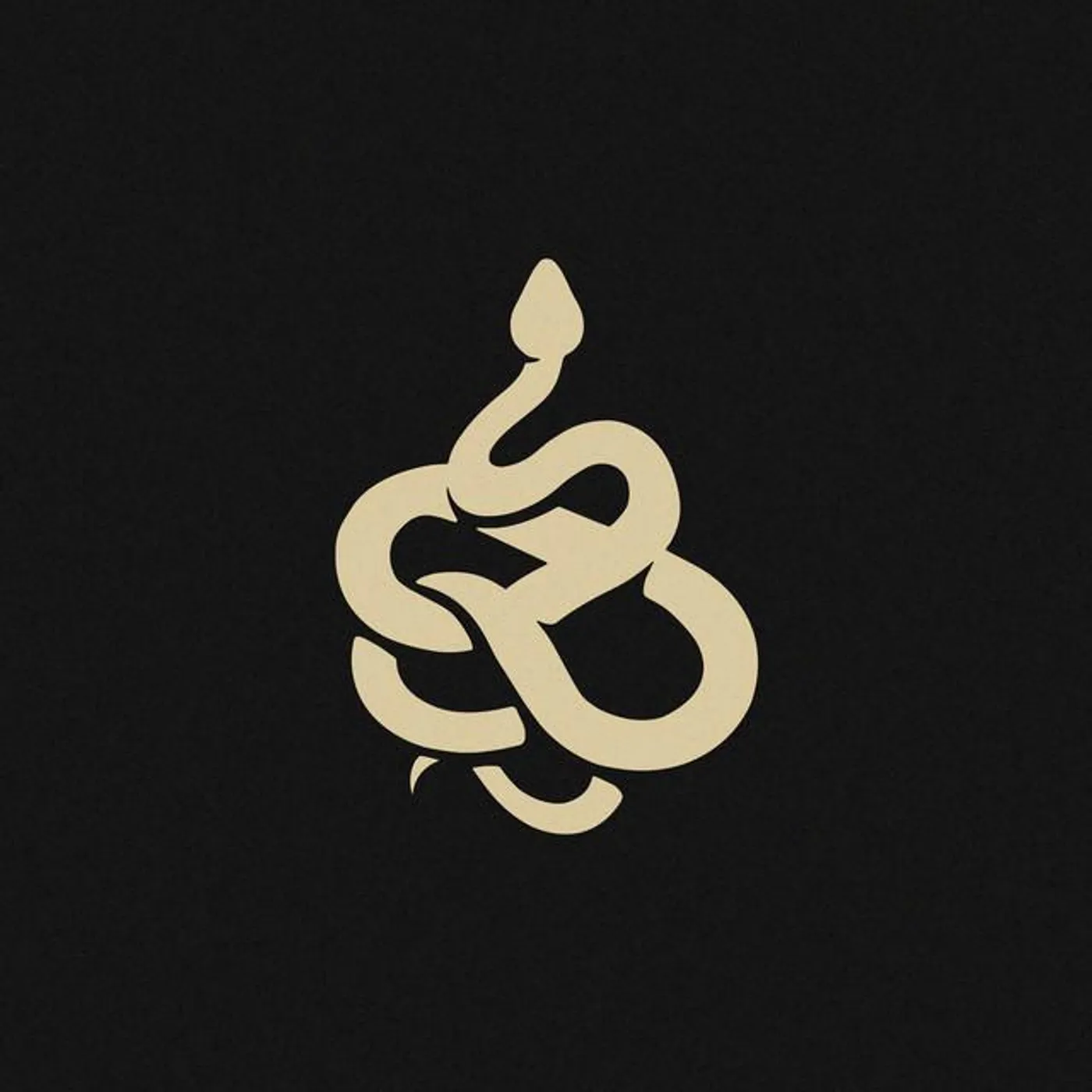 Viperactive Brand Page