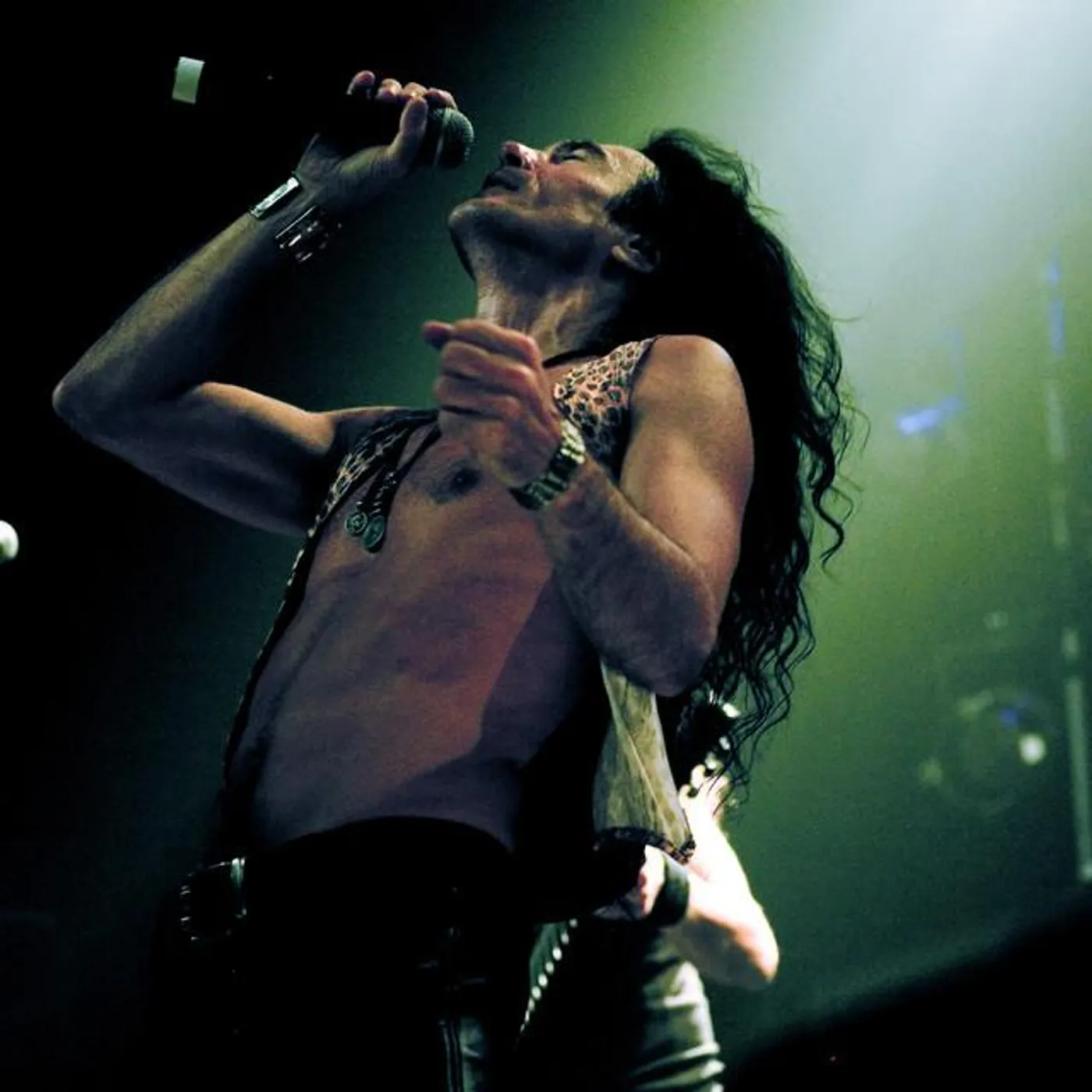 Virgin Steele Brand Page