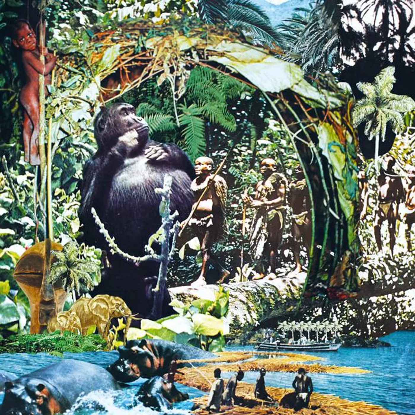 Visions Congo Brand Page