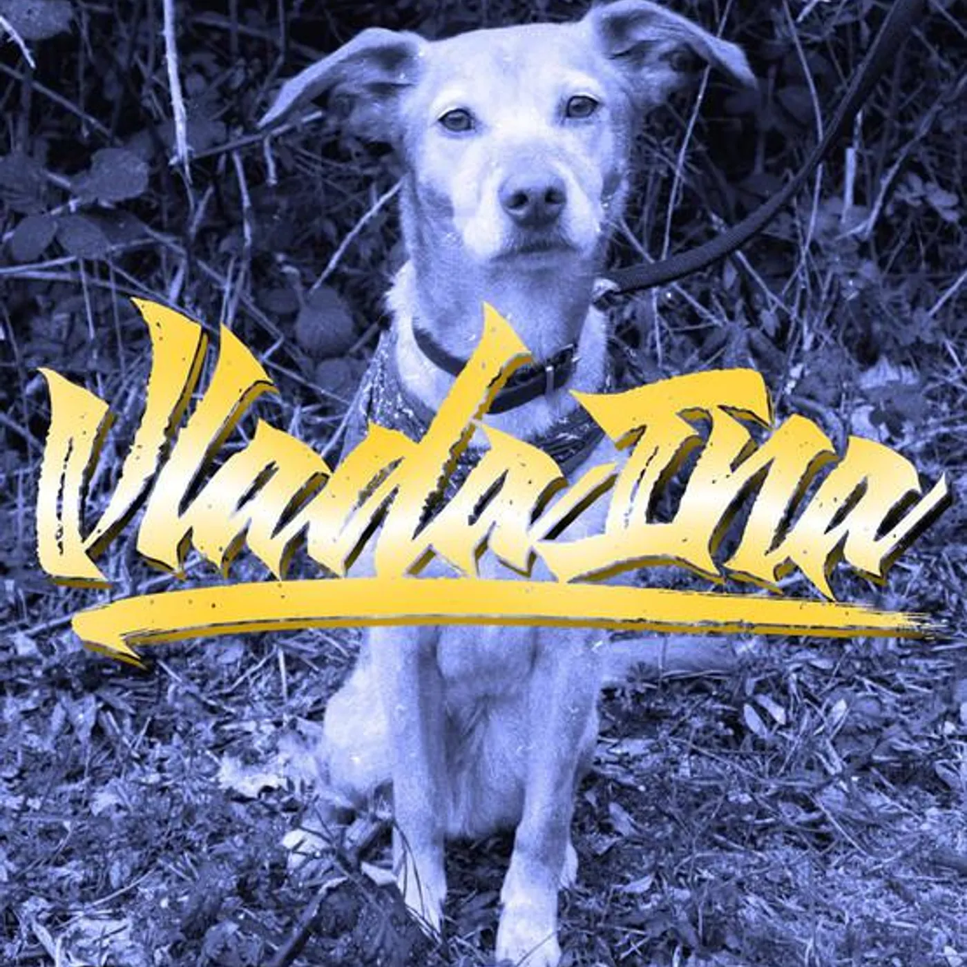 Vlada Ina Brand Page