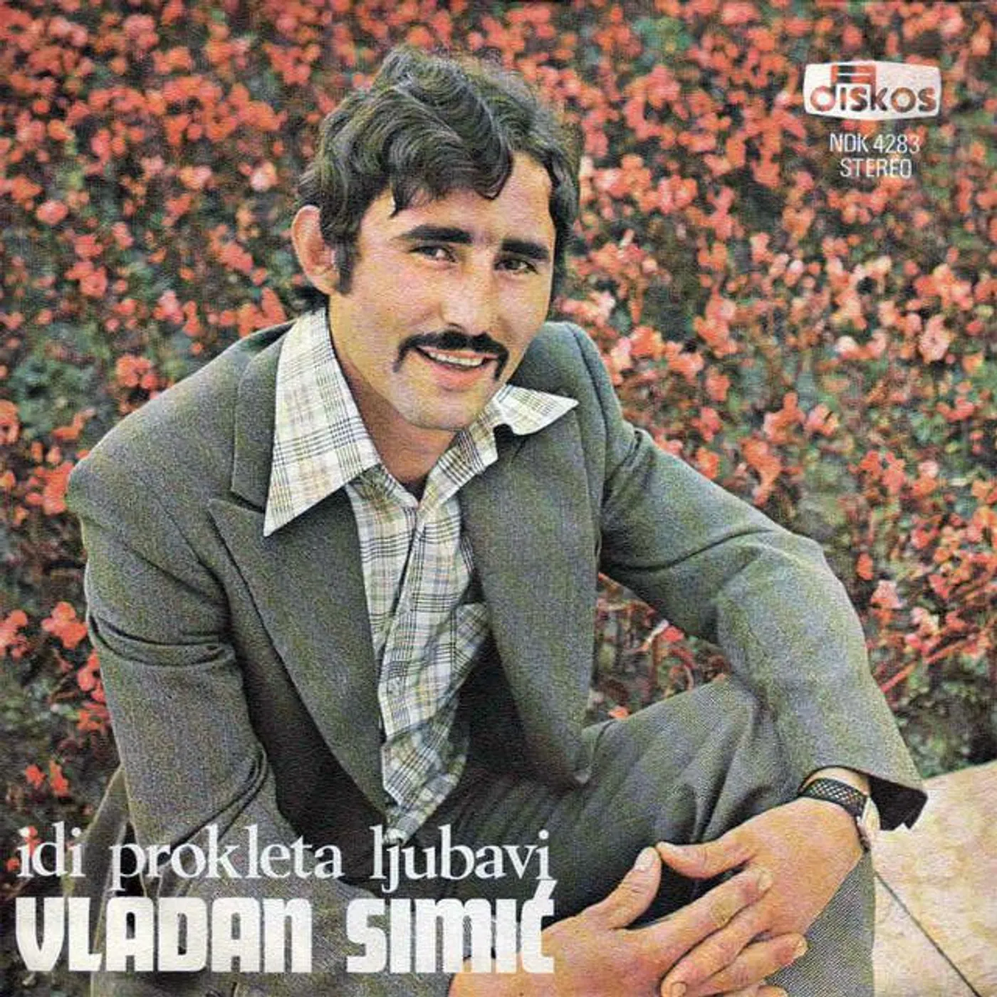 Vladan Simic