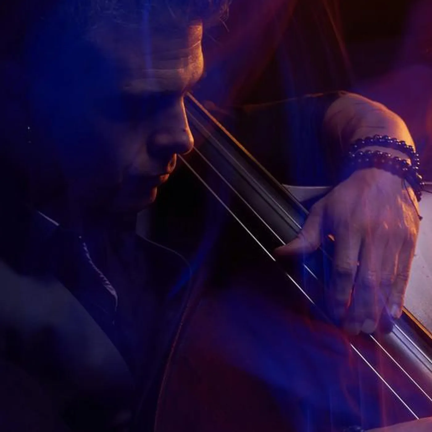 Vladimir Torres Brand Page