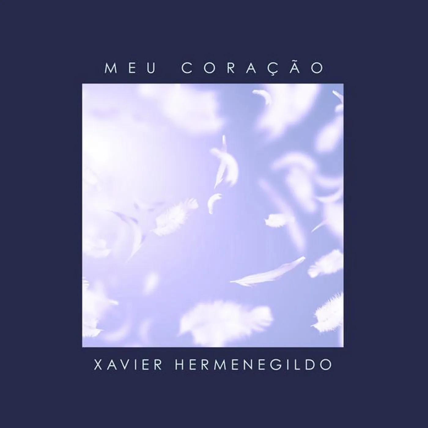 Xavier Hermenegildo Brand Page