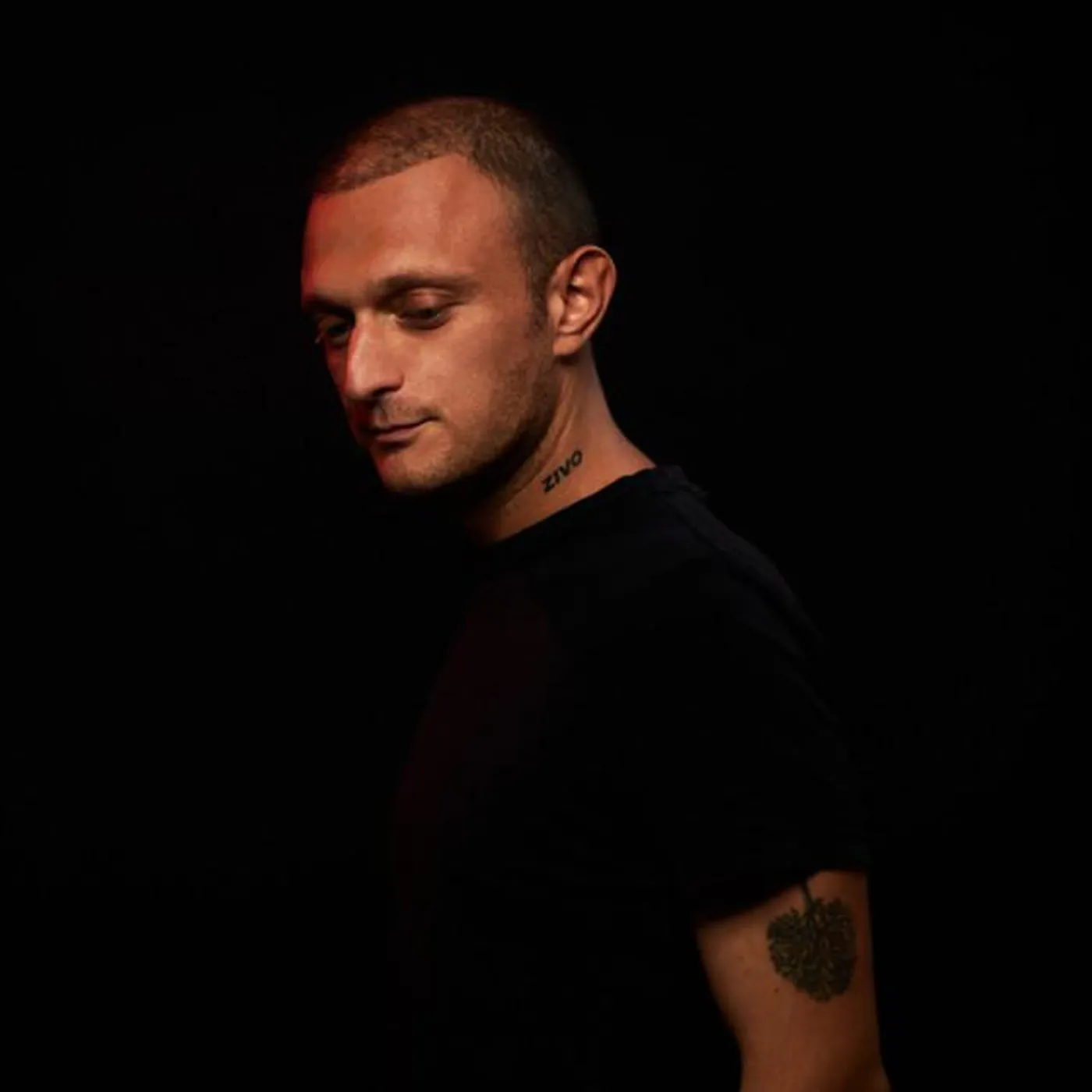 Yotam Avni Brand Page