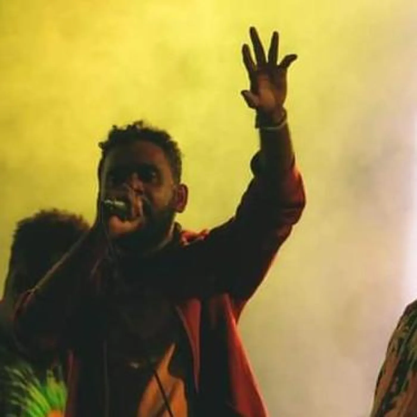 Young Davie Brand Page