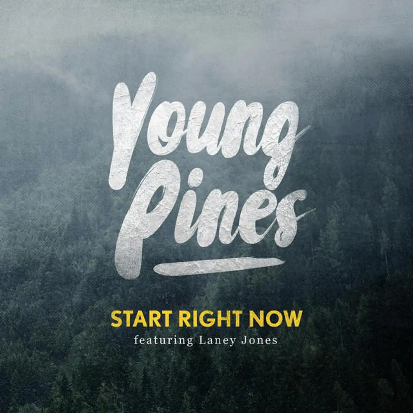 Young Pines Brand Page