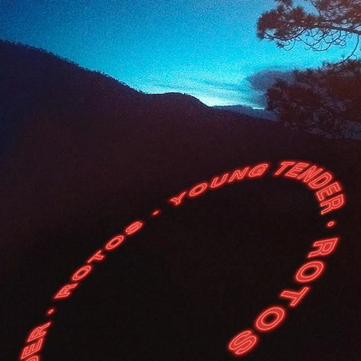 Young Tender Brand Page