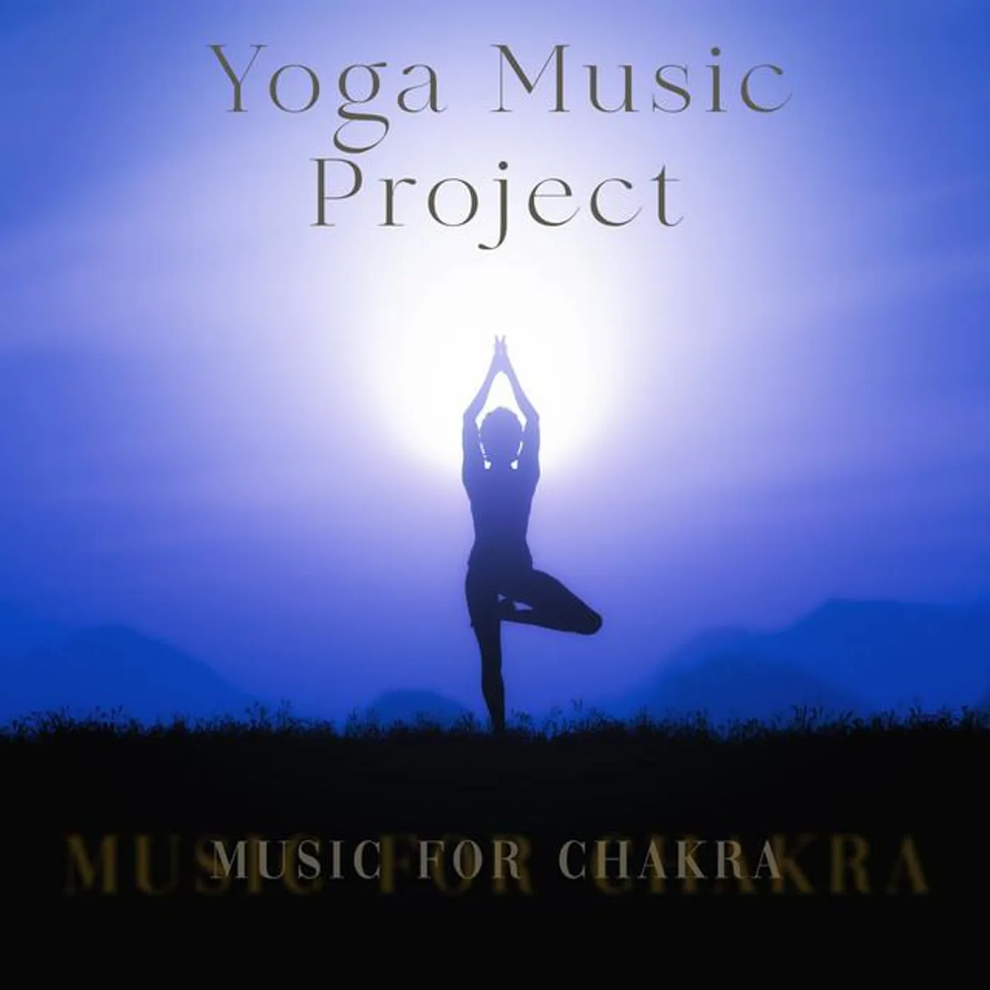 Yoga Music Project