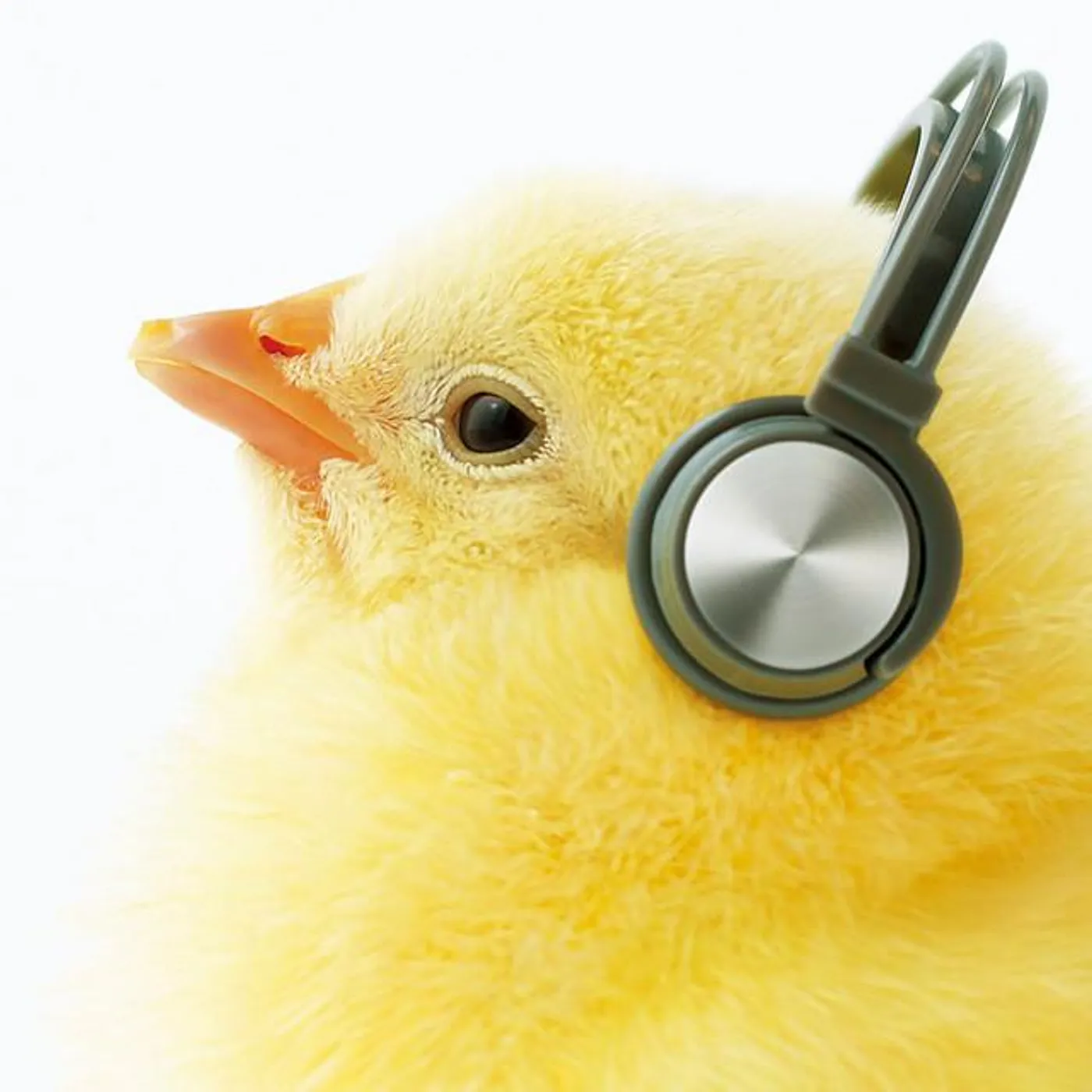 Yoko Kanno Brand Page