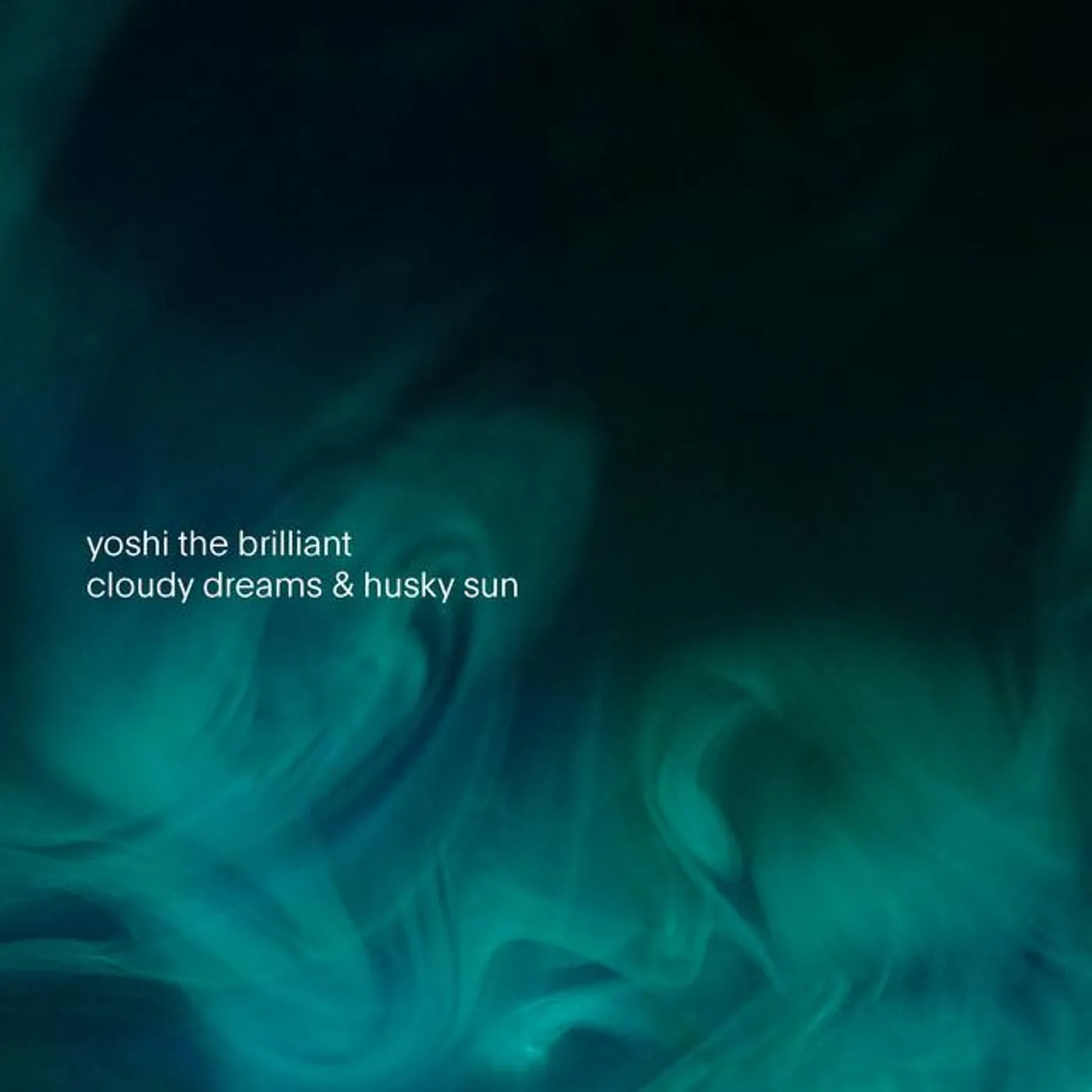 yoshi the brilliant