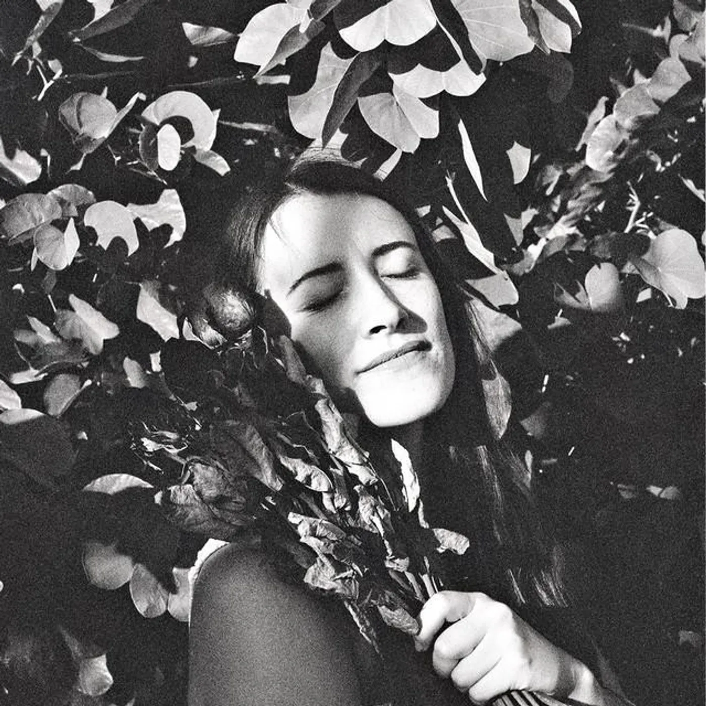 Yaz Williams Brand Page