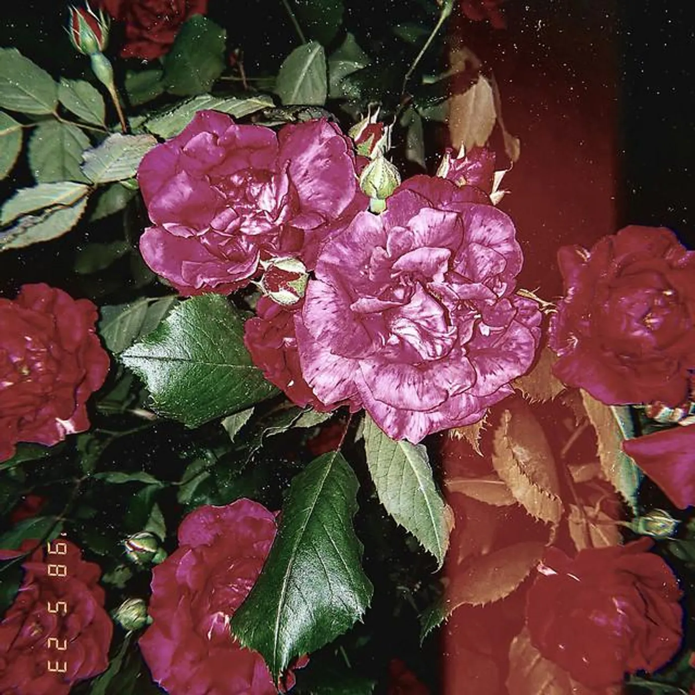 yagan camp Brand Page